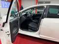 SEAT Ibiza Ibiza IV 2012 Berlina 5p 1.2 tdi cr Business High Bianco - thumbnail 7