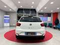 SEAT Ibiza Ibiza IV 2012 Berlina 5p 1.2 tdi cr Business High Bianco - thumbnail 4