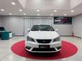 SEAT Ibiza Ibiza IV 2012 Berlina 5p 1.2 tdi cr Business High Bianco - thumbnail 2