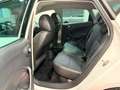 SEAT Ibiza Ibiza IV 2012 Berlina 5p 1.2 tdi cr Business High Bianco - thumbnail 10