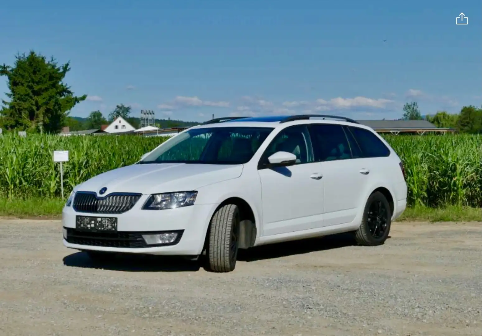 Skoda Octavia Weiß - 1