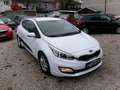 Kia ProCeed / pro_cee'd pro cee'd 1,4 MPI CVVT Cool Weiß - thumbnail 2