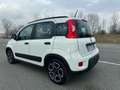Fiat Panda 1.0 firefly hybrid City Life s&s 70cv 5p.ti Bianco - thumbnail 2