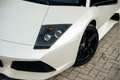 Lamborghini Murciélago 6.5 V12 LP640 | Balloon White | NEW Clutch | Carbo Bianco - thumbnail 7