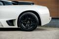 Lamborghini Murciélago 6.5 V12 LP640 | Balloon White | NEW Clutch | Carbo White - thumbnail 9