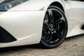 Lamborghini Murciélago 6.5 V12 LP640 | Balloon White | NEW Clutch | Carbo Blanco - thumbnail 19