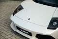 Lamborghini Murciélago 6.5 V12 LP640 | Balloon White | NEW Clutch | Carbo Blanc - thumbnail 5