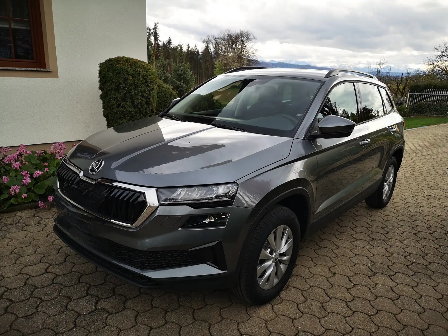 Skoda Karoq Karoq 1,5 TSI ACT DSG Selection Selection Grau - 1