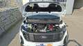 Ford Transit Courier 1,5 EcoBlue Trend Weiß - thumbnail 6