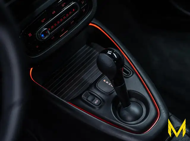 Smart Fortwo view 14