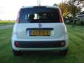 Fiat Panda 0.9 TwinAir Lounge Wit - thumbnail 5