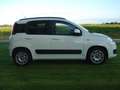 Fiat Panda 0.9 TwinAir Lounge Wit - thumbnail 7