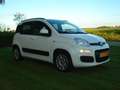 Fiat Panda 0.9 TwinAir Lounge Wit - thumbnail 8