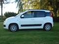 Fiat Panda 0.9 TwinAir Lounge Wit - thumbnail 3