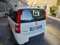 Fiat Panda FIAT PANDA 4X4  ELD Bianco - thumbnail 4