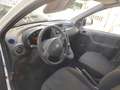 Fiat Panda FIAT PANDA 4X4  ELD Bianco - thumbnail 6
