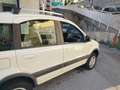 Fiat Panda FIAT PANDA 4X4  ELD Bianco - thumbnail 3