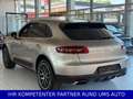 Porsche Macan /PANO/APPROVED/KAMERA/NEUWERTIG Goud - thumbnail 8
