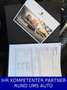 Porsche Macan /PANO/APPROVED/KAMERA/NEUWERTIG Goud - thumbnail 10