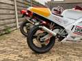 Cagiva Mito 125 Lucky explorer Blanc - thumbnail 6