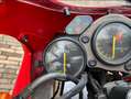Cagiva Mito 125 Lucky explorer Blanc - thumbnail 5