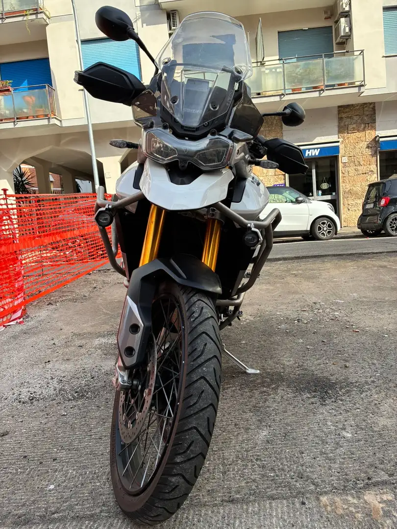 Triumph Tiger 900 Rally Pro - 1