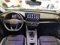 CUPRA Formentor 2.0 TDI 150 Gris - thumbnail 12