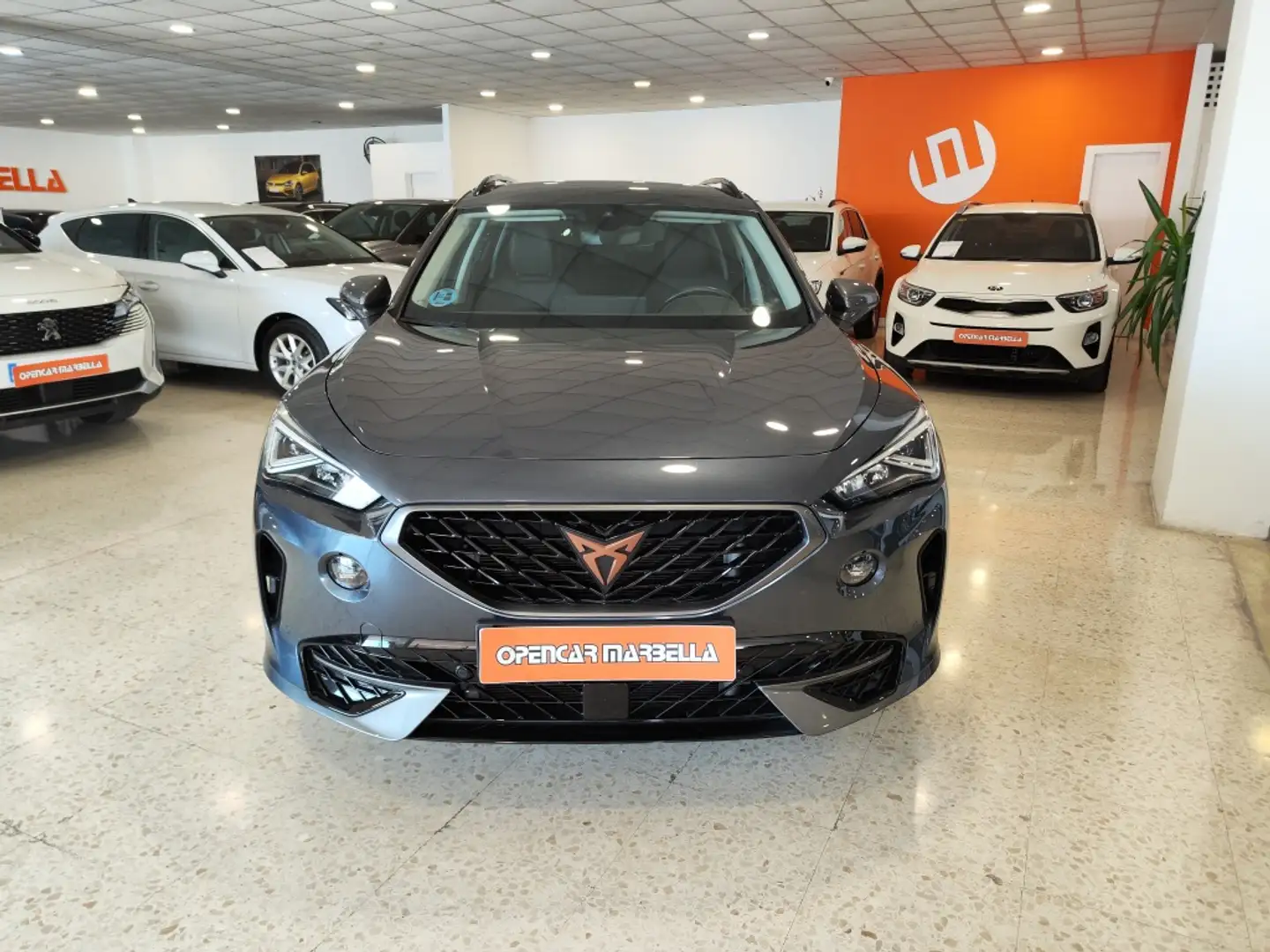 CUPRA Formentor 2.0 TDI 150 Gris - 2