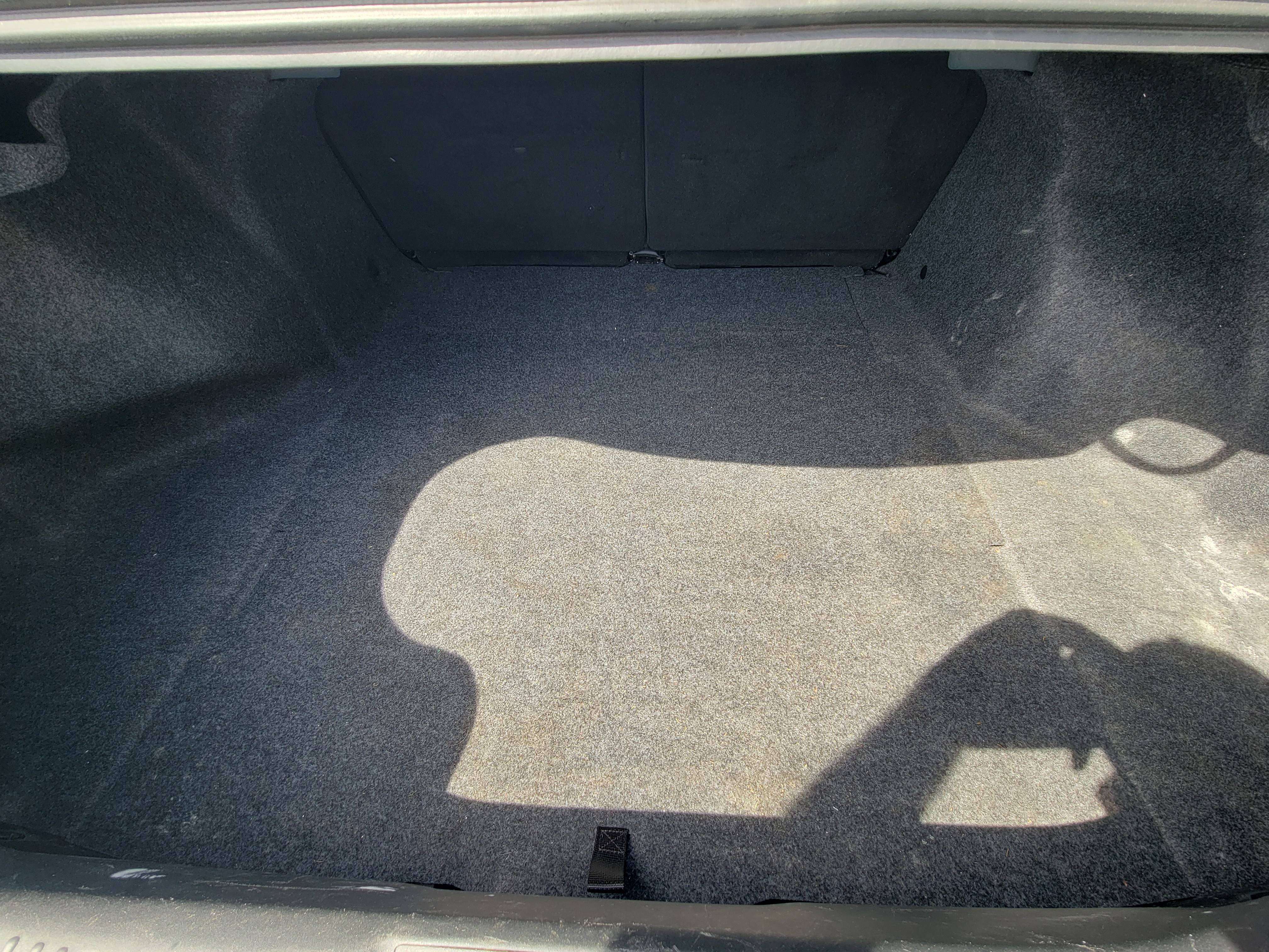 Image 19