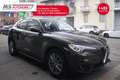 Alfa Romeo Stelvio Alfa Romeo Stelvio 2.2 Turbodiesel 150 CV AT8 RWD Bruin - thumbnail 1