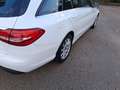 Mercedes-Benz C 200 SW d (bt) Executive auto - thumbnail 7