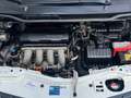 Honda Jazz BWJ 2009 | 1.4 100PK Comfort AUTOMAAT | TREKHAAK | Wit - thumbnail 13