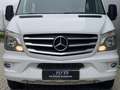 Mercedes-Benz Sprinter 313 2.2 CDI 366 H2 L2 6 Persoons Airco Cruise Weiß - thumbnail 6