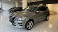 Mercedes-Benz ML 250 ML 250 BlueTEC 4Matic Premium Edition 1 Gris - thumbnail 1