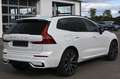 Volvo XC60 T8 R Design PHEV MAPS*Luft*B&W*STHZG*HUD* Weiß - thumbnail 5