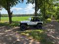 Jeep Wrangler Wrangler 4.0 Blanc - thumbnail 17