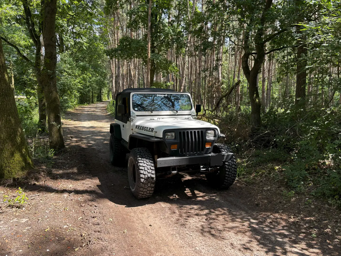 Jeep Wrangler Wrangler 4.0 Blanc - 1
