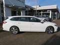 Volkswagen Passat Variant 1.5 eTSI Business NAVI  ergoActive KAMERA ACC Bianco - thumbnail 2