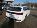 Volkswagen Passat Variant 1.5 eTSI Business NAVI  ergoActive KAMERA ACC Bianco - thumbnail 5