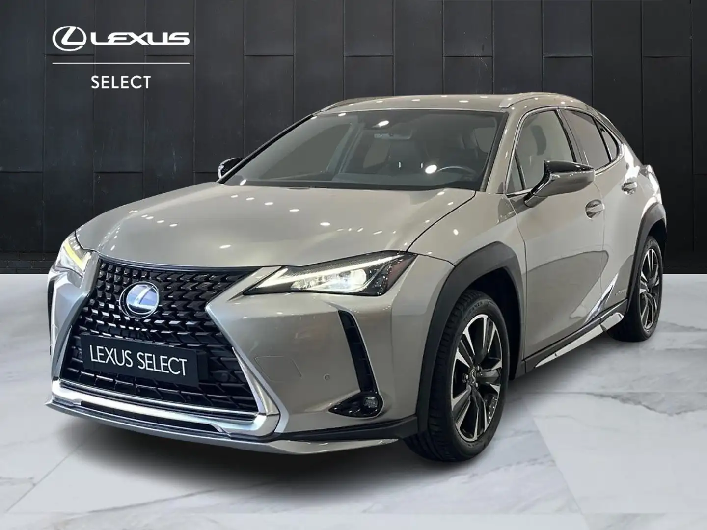 Lexus UX 250h UX 250h 2.0 Premium 2wd cvt Grau - 1