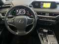 Lexus UX 250h UX 250h 2.0 Premium 2wd cvt Grau - thumbnail 8
