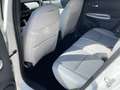 Honda Jazz 1,5 i-MMD Hybrid Executive Aut. Weiß - thumbnail 21