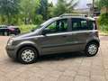 Fiat Panda Panda 1.2 Active Gris - thumbnail 11
