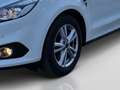 Ford S-Max 2,0 TDCi Business Weiß - thumbnail 8