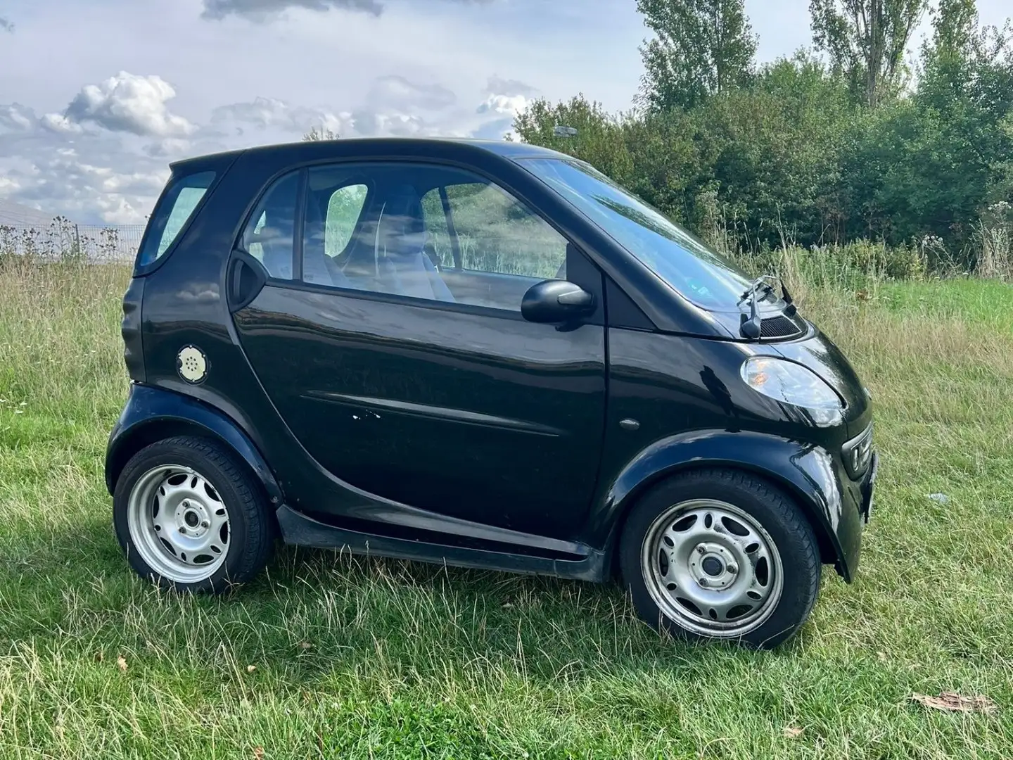 smart city-coupé/city-cabrio & pulse Zwart - 2