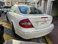 Mercedes-Benz CLK 320 320 CDI AVANTGARDE 7GTRO Blanc - thumbnail 3