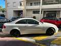 Mercedes-Benz CLK 320 320 CDI AVANTGARDE 7GTRO Blanc - thumbnail 6