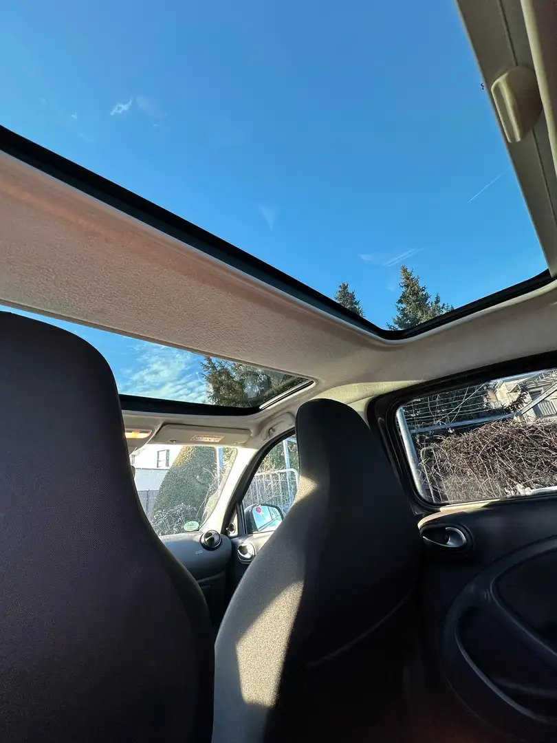 smart forFour twinamic passion Grau - 2