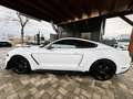 Ford Mustang 2.3 Shelby 314 cv Bianco - thumbnail 7