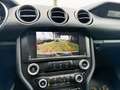 Ford Mustang 2.3 Shelby 314 cv Bianco - thumbnail 3